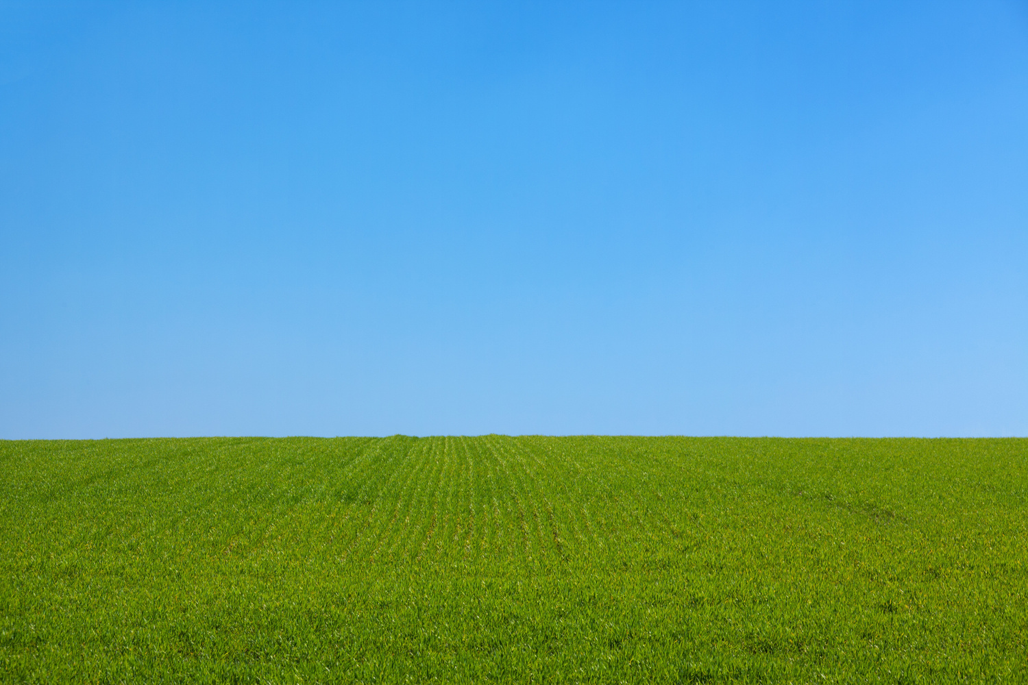 Green Grass Field Under Blue Sky